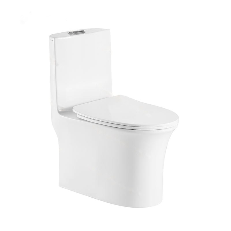 LT-1117 white one-piece-toilets