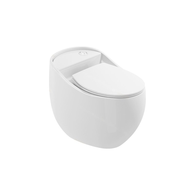 LT-1219 white one-piece-toilets