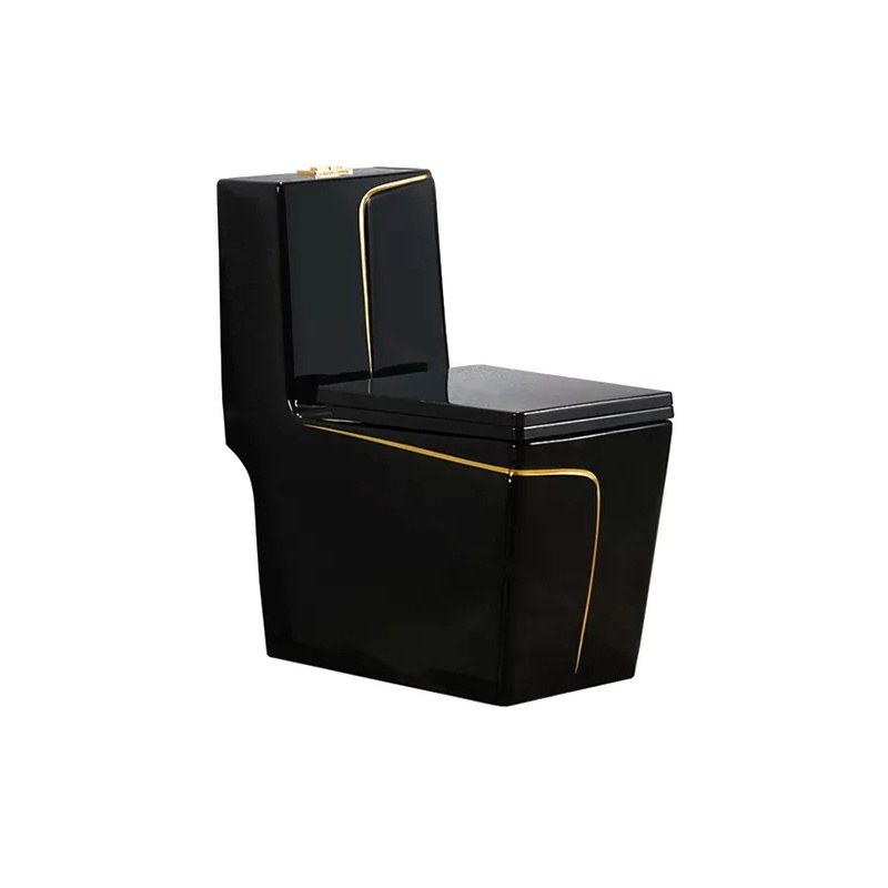 LT-1109-CG-BLGL black one-piece-toilets