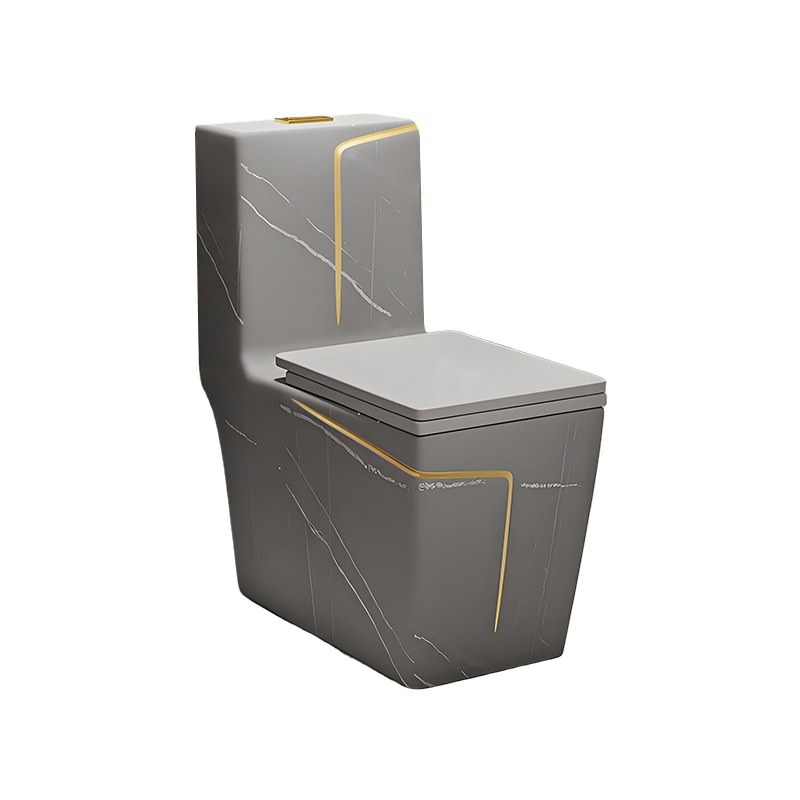 LT-1109-CG-DGGL1 grey one-piece-toilets