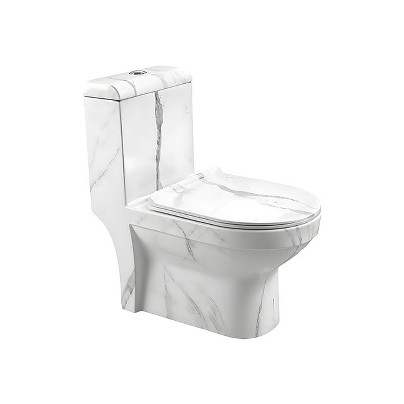 LT-1085-DP-9 white one-piece-toilets
