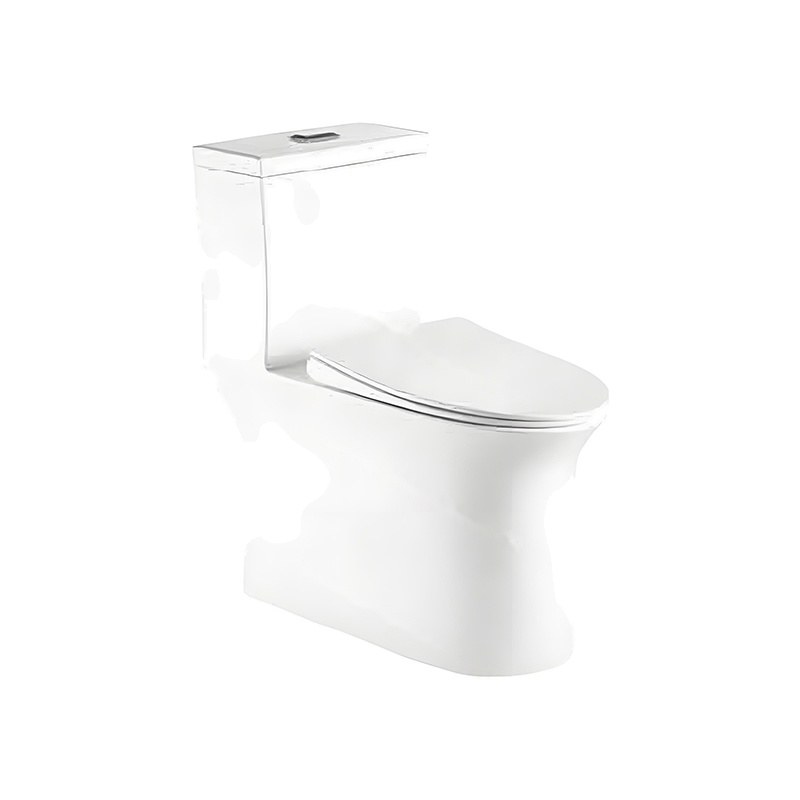 LT-1318 white one-piece-toilets
