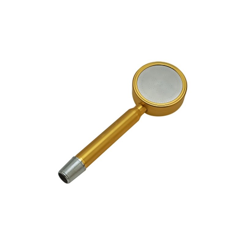 LT-10197-PLA-SP hand shower, hand held shower head