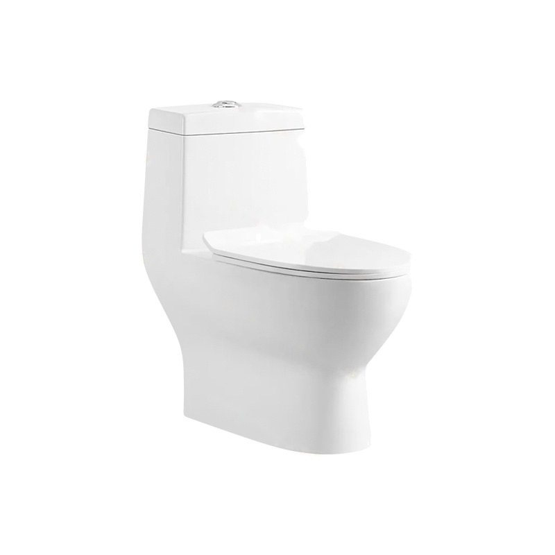 LT-1007 white one-piece-toilets