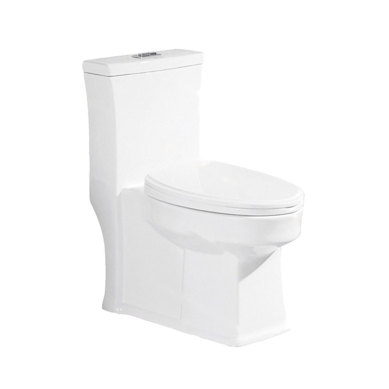 LT-1034 white one-piece-toilets