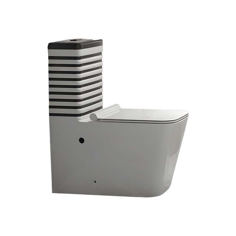LT-1197-CP-WSBL1 grey one-piece-toilets