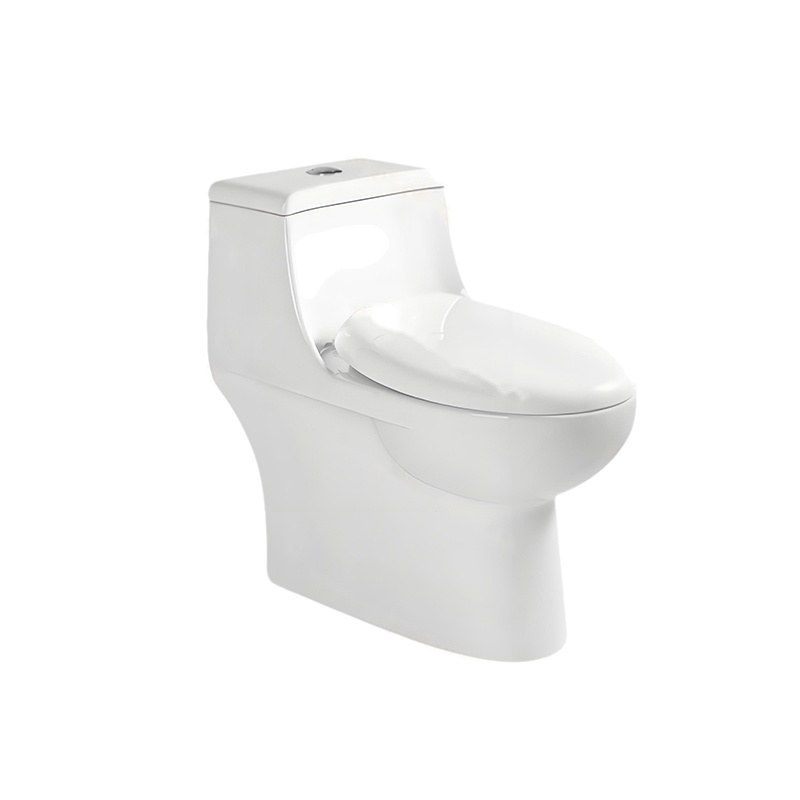 LT-1324 white one-piece-toilets