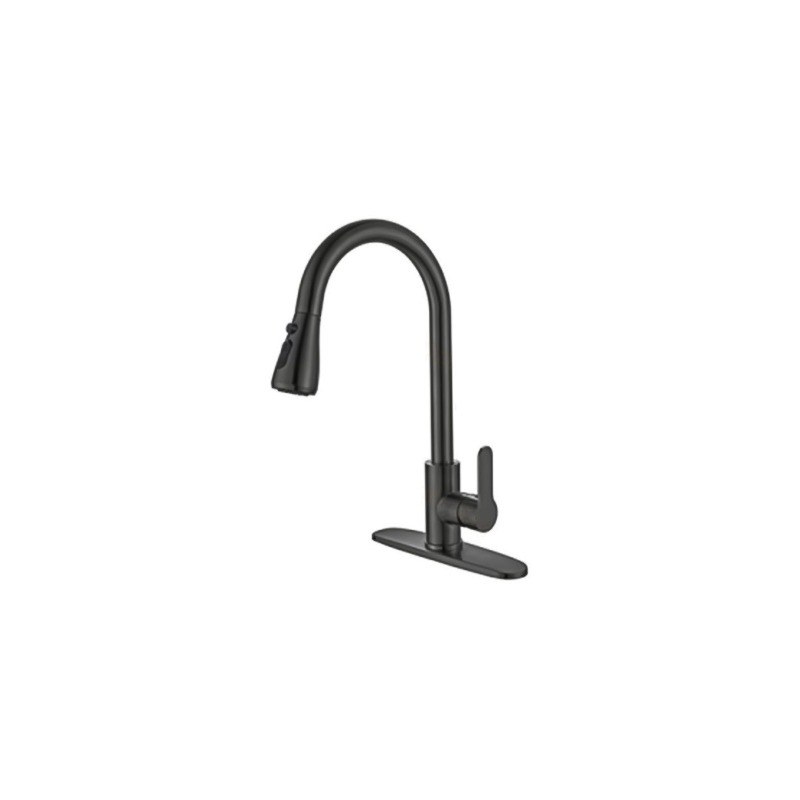 LT-10010-SS-TCCLSSCLRLT kitchen faucet, kitchen mixer tap, sink faucet