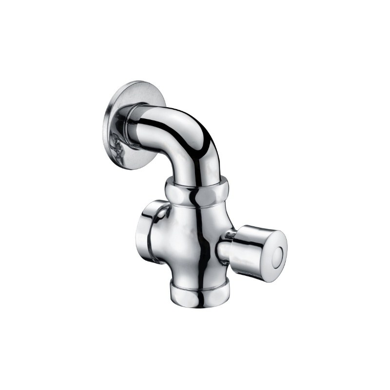LT-10008-BRA-ASYCF white flush-valves