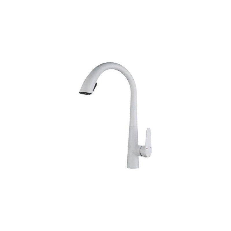 LT-10029-SS-TCCLSSCLRLT kitchen faucet, kitchen mixer tap, sink faucet