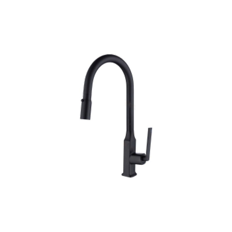 LT-10030-BRA-TCSCLRLT kitchen faucet, kitchen mixer tap, sink faucet