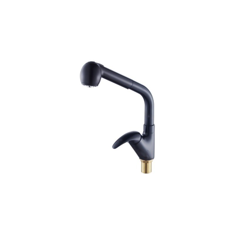 LT-10081-BRA-TCCLSSCLRLT kitchen faucet, kitchen mixer tap, sink faucet