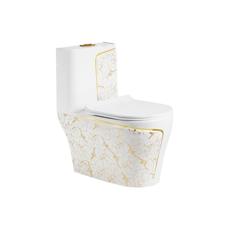 LT-1121-GID-WG1 white one-piece-toilets