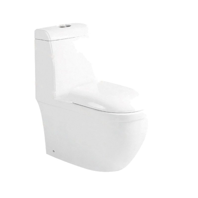 LT-1004 white one-piece-toilets