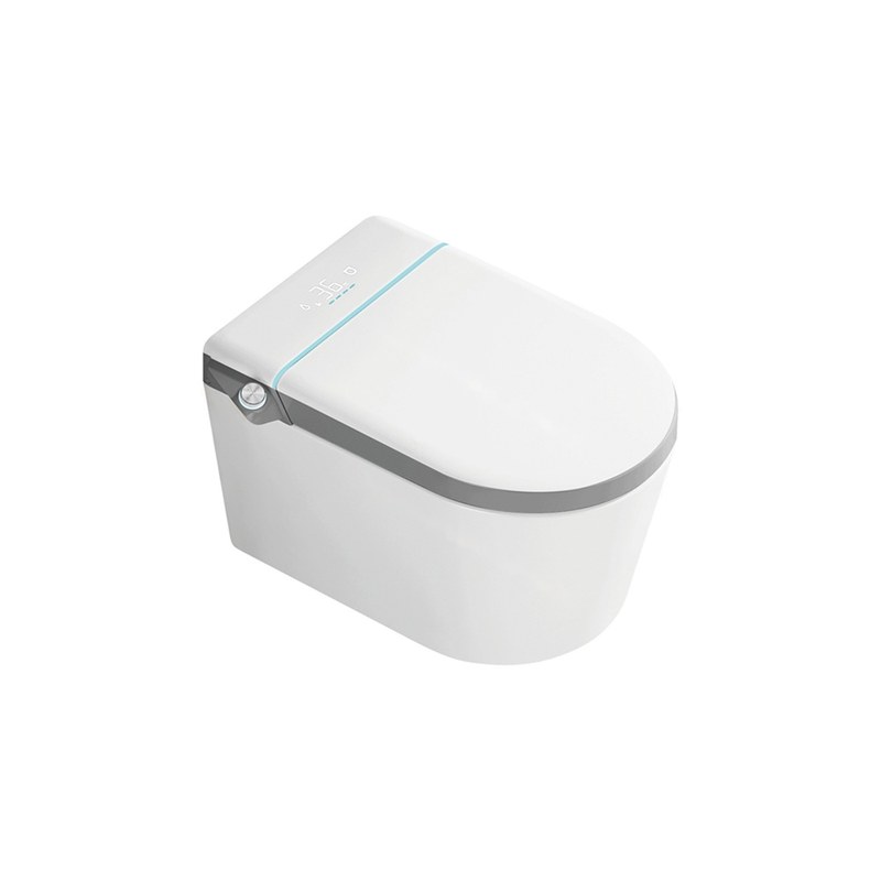 LT-TO-1093-WC-GR white smart-toilets