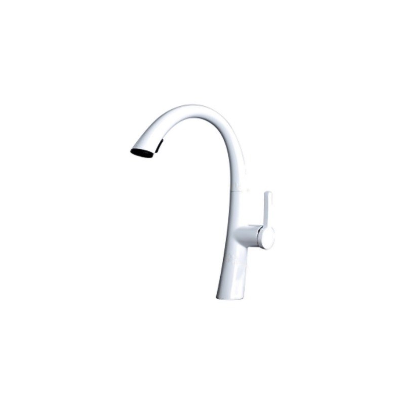 LT-10090-BRA-TCCLSSCLRLT kitchen faucet, kitchen mixer tap, sink faucet