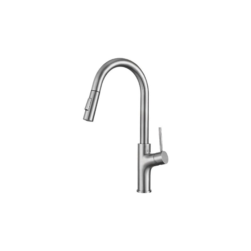 LT-10140-SS-TCCLSSCLRLT kitchen faucet, kitchen mixer tap, sink faucet