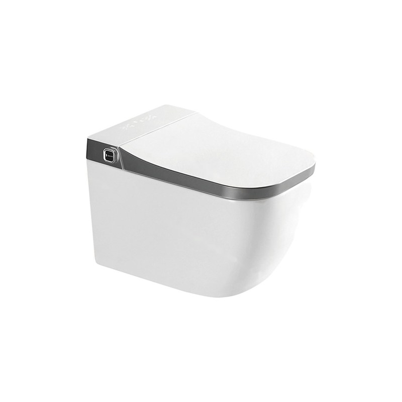 LT-TO-1063-C-GR white smart-toilets