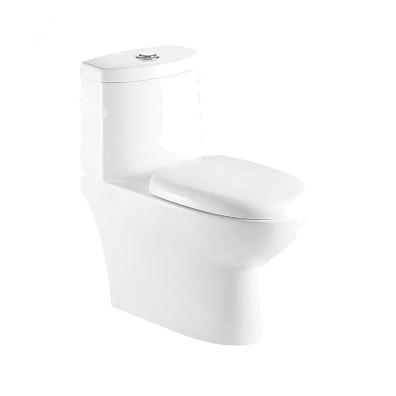 LT-1015 white one-piece-toilets