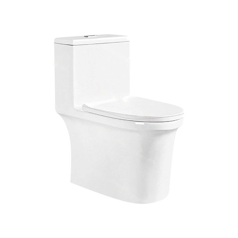 LT-1199 white one-piece-toilets