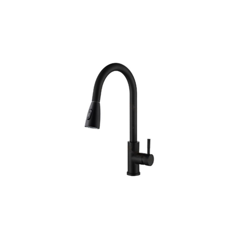 LT-10002-SS-TCCLSSCLRLT kitchen faucet, kitchen mixer tap, sink faucet