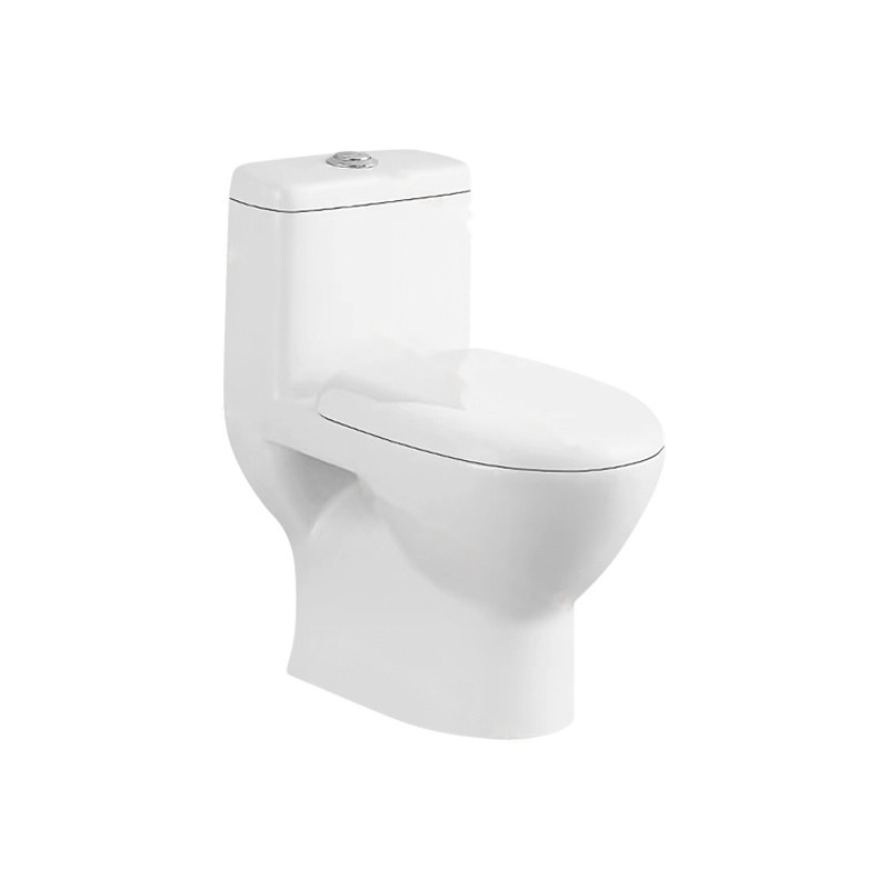 LT-1305 white one-piece-toilets