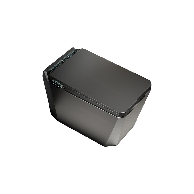 LT-TO-1120-WC-BL black smart-toilets