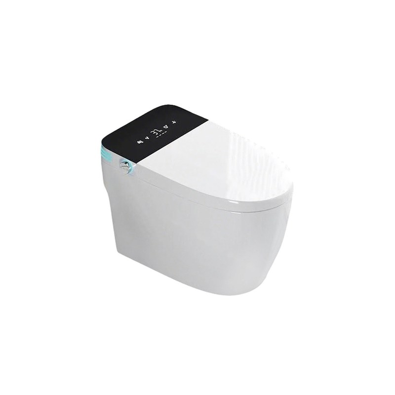 LT-TO-1121-WC-BL patterned smart-toilets