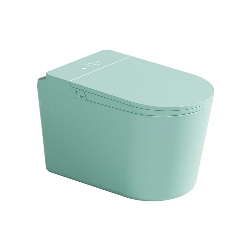 LT-TO-1136-WC-SFM colored smart-toilets