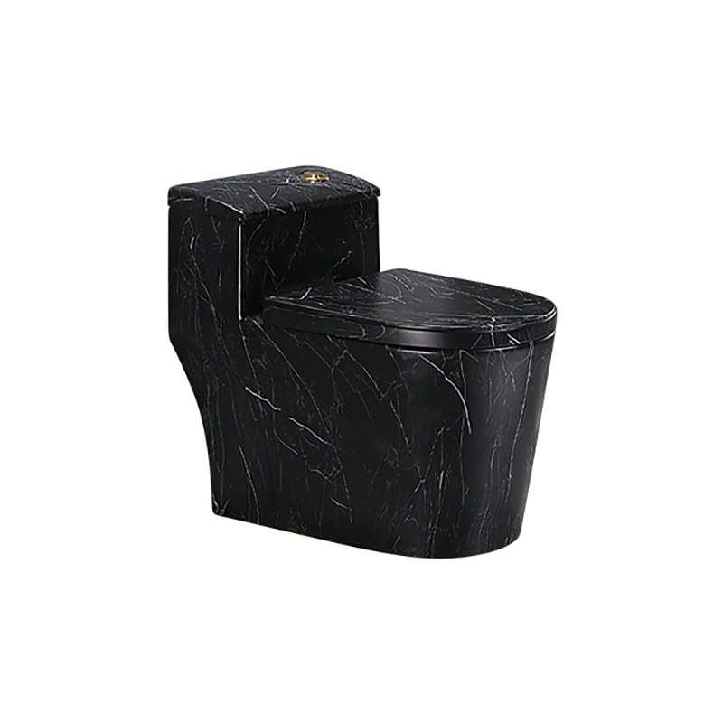 LT-1074-DP-5 black one-piece-toilets