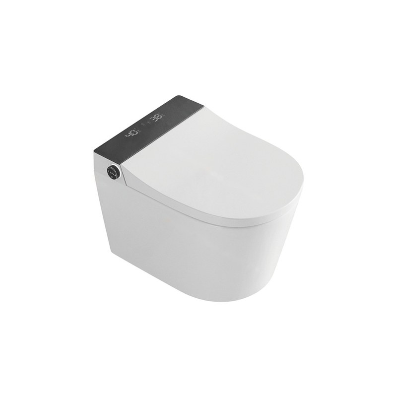 LT-TO-1020-C-BL white smart-toilets