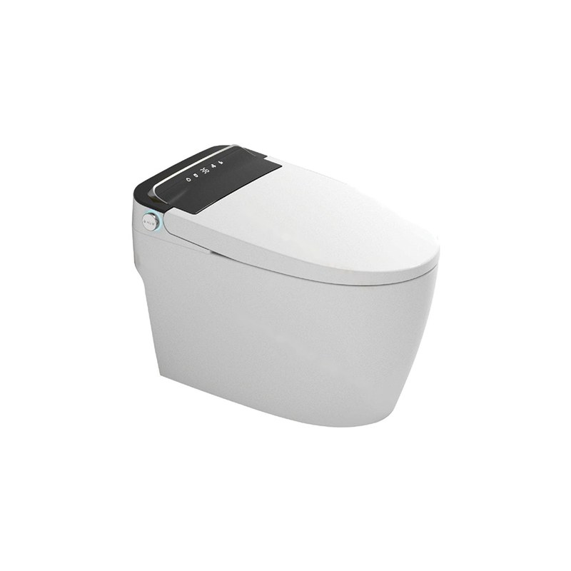 LT-TO-1022-WB-BS patterned smart-toilets