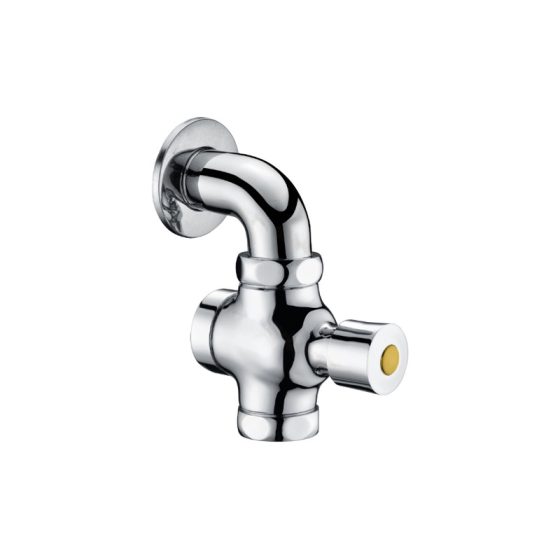 LT-10002-BRA-ASYCF white flush-valves
