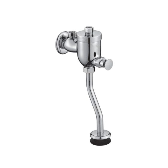 LT-10003-BRA-BSXBYSF white flush-valves
