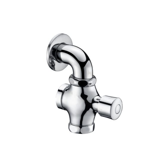 LT-10004-BRA-ASYCF white flush-valves