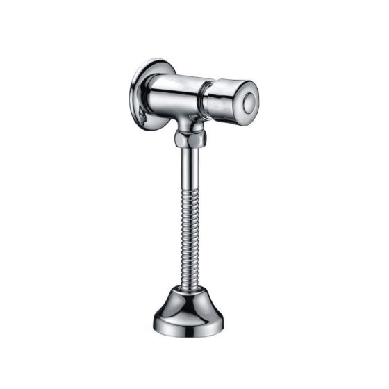 LT-10004-BRA-AZXBYSF white flush-valves