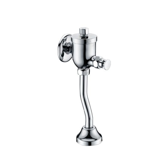LT-10004-BRA-BSXBYSF white flush-valves