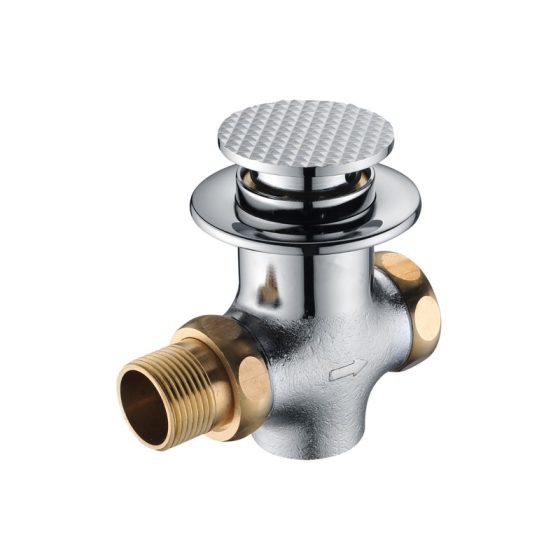 LT-10005-BRA-AZYSF white flush-valves