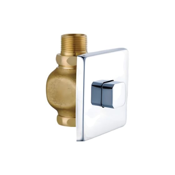 LT-10007-BRA-AZYSF white flush-valves