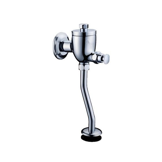 LT-10007-BRA-BSXBYSF white flush-valves