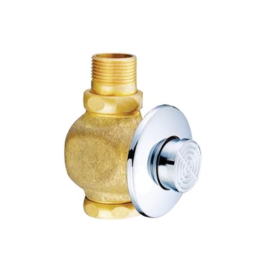 LT-10008-BRA-AZYSF white flush-valves