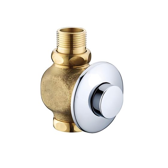 LT-10009-BRA-AZYSF white flush-valves