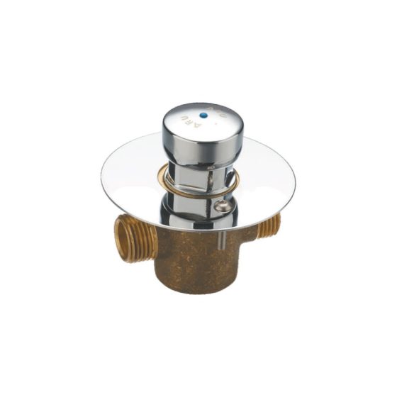 LT-10009-CFE-AYSSLTJHSF white flush-valves