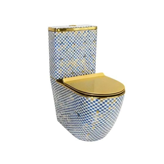 LT-1001-DC-1 patterned one-piece-toilets