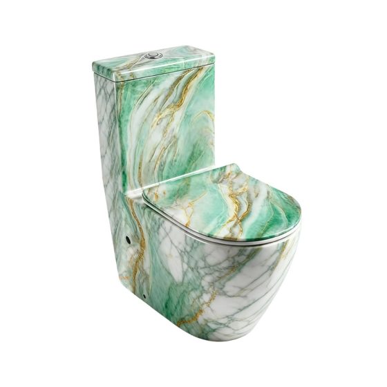 LT-1001-DP-GT patterned one-piece-toilets