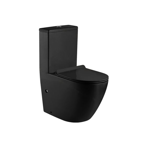 LT-1001-M-BL black one-piece-toilets