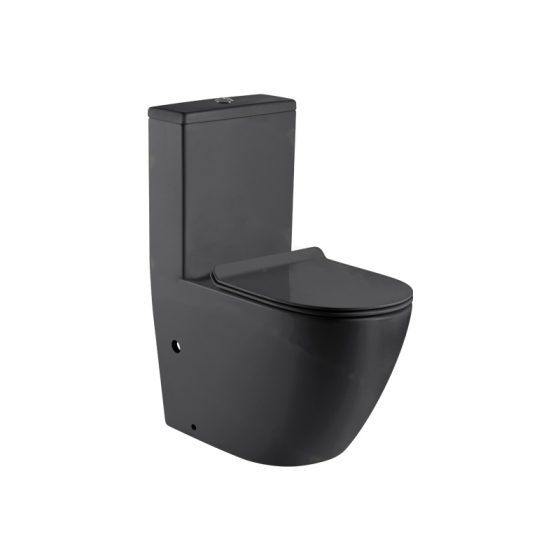 LT-1001-M-DG black one-piece-toilets