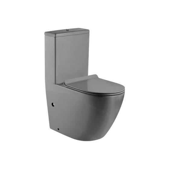 LT-1001-M-LG grey one-piece-toilets