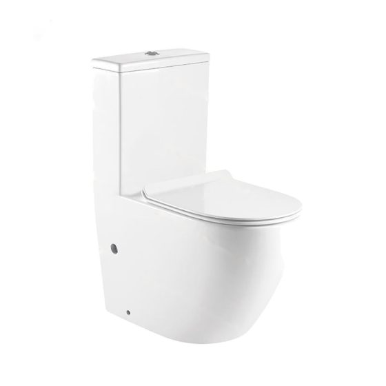 LT-1001 white one-piece-toilets