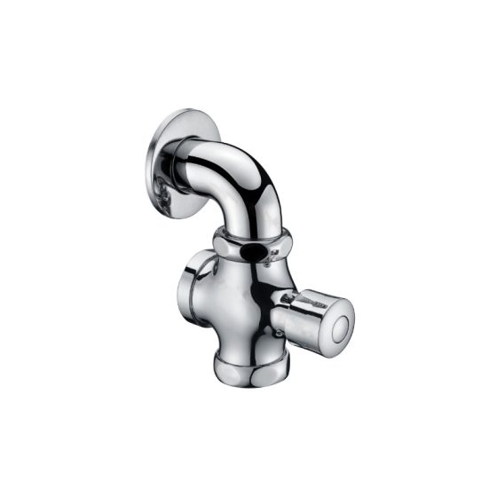 LT-10010-BRA-ASYCF white flush-valves